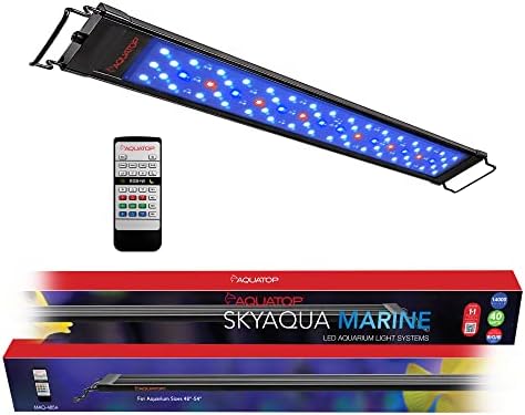 Aquatop SkyAqua Marine LED Tuzlu Su akvaryum ışığı, 14000K Spektrum – 12-18 inç Tanklara Uyar, 3 Konumlu Geçiş Anahtarı