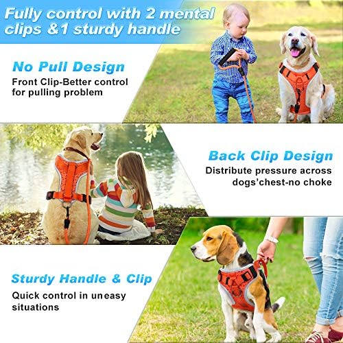 Supet Köpek Konisi + Çekme Yok Köpek Koşum Takımı: Ameliyat Sonrası için Ayarlanabilir Evcil Hayvan Konisi Plastik