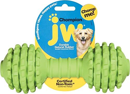 JW Pet Company Chompion Köpek Oyuncağı (Renkler Değişir)