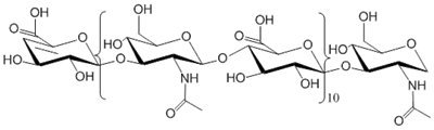Oligomerik-HA20, MW 3811,1 Da (10 mg)