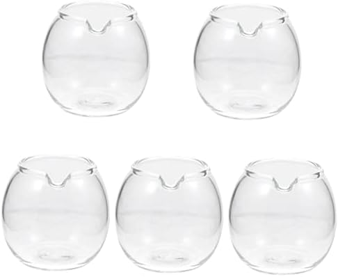 UPKOCH 5 pcs Sürahi Çok fonksiyonlu Kahvaltı Çanak Su Sürahi Şeffaf Daldırma Testiler için Sos Pourer Kristal cam
