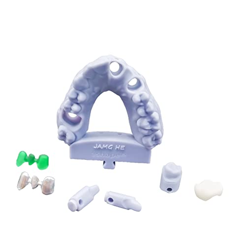 Jamghe 3D Yazıcı Reçine Diş Pro Modeli Reçine Diş Protez Modeli Reçine Taç ve Köprü Modeli, Ortodontik Model, İmplant