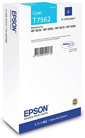 Epson T850200, Camgöbeği Ultra Renkli HD, 2170490 (Ultra Renkli HD)