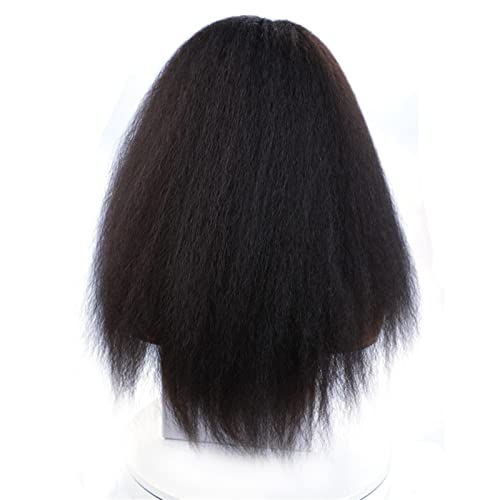 Saç Değiştirme Peruk Sentetik Saç Peruk Afro-Amerikan Kadınlar İçin Doğal Siyah 18-22 İnç Afro Peruk (Renk: E, Boyut
