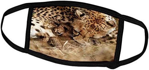 3dRose Çita Bir Günlük Yavruları Tımar ediyor. Masai Mara Park Koruma Alanı. - Yüz Kapakları (fc_206501_2)