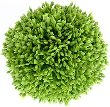 CİR VAHALAR 3.5 İnç dekoratif toplar Yapay Yeşil Bitki dekoratif toplar, Kase Dolgu Yeşillik Topları, 3 Set …