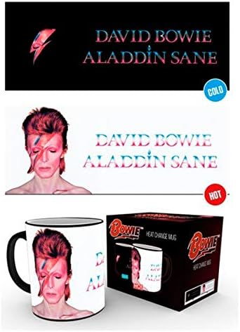 David Bowie Aladdin Sane ısı değişim kupası