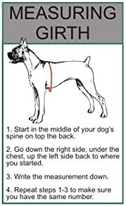 Doggie Stylz Servis Köpeği Koşum Takımları ve Yelekler için 2 Yansıtıcı Arama Kurtarma Yaması Seti. (Büyük 6 X 2)