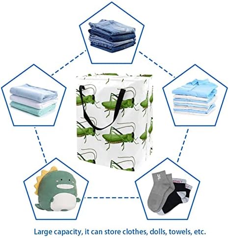Karikatür Yeşil Çekirge Çekirge Böcek Baskı Katlanabilir çamaşır Sepeti, 60L Su Geçirmez çamaşır sepetleri Çamaşır