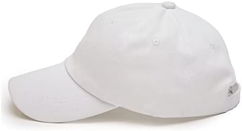 ROGER FEDERER Kap İşlemeli Şapka Pamuk Ayarlanabilir Yıkanmış Baba Şapka Erkekler Kadınlar için Yumuşak İşlemeli beyzbol