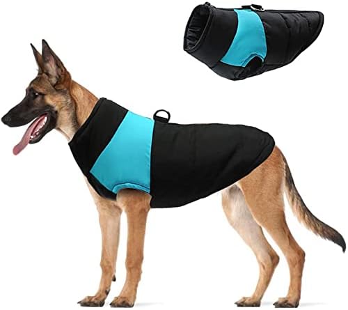 HonpraD Pet Ceket Küçük Köpekler için Erkek Sıcak Köpek Giysileri Kış Sıcak Pamuk Yelek Hafif Giyim Geri Fermuar Pet