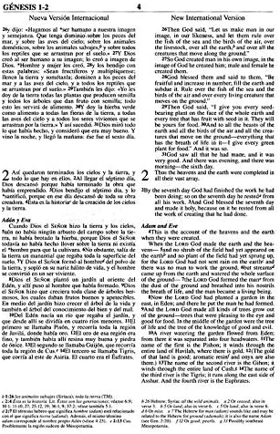 Kişiselleştirilmiş İncil Özel Metin Adınız NIV/RVR 1960 Biblia Bilingue Dos Tonos, Marron Vaftiz için Özel Yapılmış