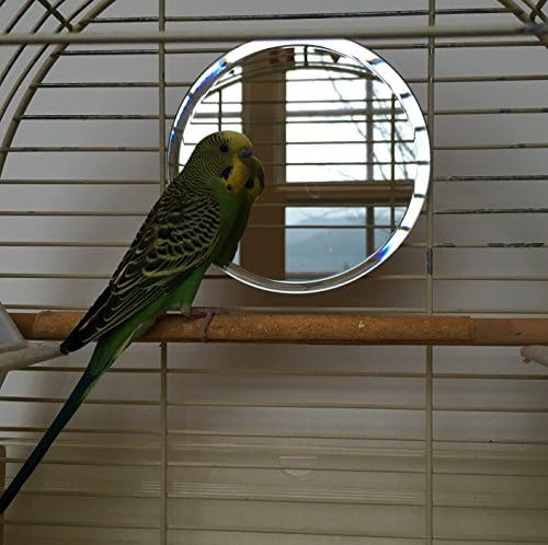 dcDalton Kuş Kafesi Aynası Eğimli Kenarlı Yuvarlak Şekilli 5 inç Cam | ABD'de Monte Edildi