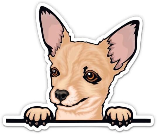 Chihuahua Peeking Sticker-3 laptop etiketi - Su Geçirmez Vinil Araba, Telefon, Su Şişesi-Chihuahua Kısa Saçlı Köpek